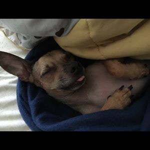 Meet your Posher, Teresa